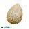 /p36923-podveska-iz-naturalnogo-kamnya-korall-okameneliy-kaplya-36x27-mm/