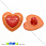 /p32833-pugovica-plastikovaya-na-nozhke-serdce-15x14-mm-oranzhevaya/