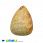 /p33051-podveska-iz-naturalnogo-kamnya-korall-okameneliy-kaplya-36x26-mm/
