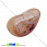 /p26128-galtovka-serdolik-42x27x19-mm/