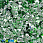 /p41047-payetki-indiya-cveti-10-mm-zelenie/