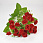 /p57667-buket-rozochek-s-gipsofiloyu-30-sm-krasniy/