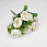 /ru/p57661-buket-roz-32-sm-beliy/