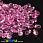 /p36347-busina-cheshskoe-steklo-preciosa-pip-7x5-mm-00030-01192-rozovaya-prozrachnaya/