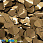 /p38101-payetki-indiya-listiki-15x14-mm-korichnevie/