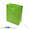 /p19049-podarochniy-paket-14x11-5x6-sm-salatoviy/