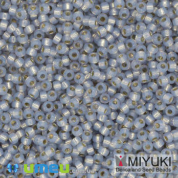 Бісер японський Miyuki круглий RR 11/0 №576, Сіро-блакитний (BIS-039962)