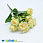 /p44843-buket-roz-33-sm-zheltiy/