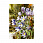 /ru/p51429-nabor-almaznoy-zhivopisi-na-podramnike-30x20-sm-son-trava/