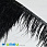 /ru/p38885-perya-strausa-na-lente-8-10-sm-chernie/