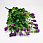 /p54187-buket-roz-34-sm-sireneviy/
