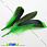 /p1766-perya-utinie-zelenie-10-12-sm/