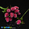 /p40343-klubnika-na-provoloke-ucenka-22x15-mm-krasnaya/