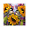 /p52423-nabor-almaznoy-zhivopisi-na-podramnike-30x30-sm-ptici-i-podsolnukh/