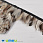 /p40443-perya-utki-na-lente-5-6-sm-sero-korichnevie-naturalnie/