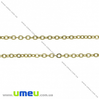 Ланцюг з нержавіючої сталі, Золото, 2,5х2 мм (STL-026041)