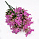 /p52690-buket-kermeka-34-sm-rozoviy/