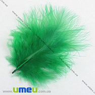 Пір'я Індички, Зелені, 4-9 см (PER-002774)