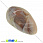 /p33833-galtovka-agat-botsvana-40x20x13-mm/