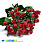 /p48322-buket-roz-28-sm-krasniy/