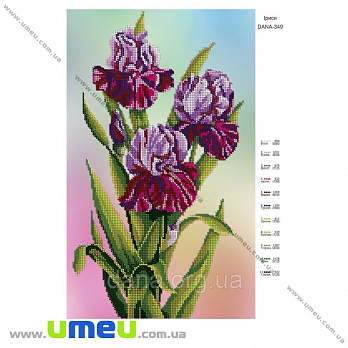Схема для выш. бисером Dana, Ирисы DANA-349, 40х25 см (SXM-034538)