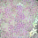 /p51179-payetki-indiya-snezhinka-9-mm-belie-ab/