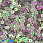 /p41802-payetki-indiya-kruglie-ploskie-4-mm-serebristie-av/