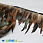 /p38985-perya-petuha-na-lente-10-18-sm-korichnevie-naturalnie/