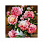 /p51362-nabor-almaznoy-zhivopisi-na-podramnike-pioni-30x30-sm/