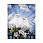 /p52387-nabor-almaznoy-zhivopisi-na-podramnike-30x40-sm-vlyublyennie/