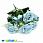 /p45820-buket-roz-33-sm-goluboy/
