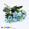 /p44822-buket-roz-35-sm-biryuzoviy/