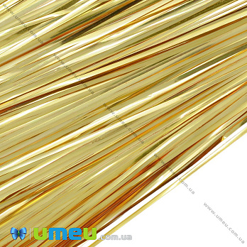 Біть плоска 1 мм, Золотиста (KNT-053477)