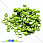 /p13170-payetki-kruglie-granenie-5-mm-salatovie/