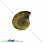 /p31640-ammonit-okameneliy-18x15x4-6-mm/
