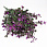 /p54104-buket-melkocveta-37-sm-sireneviy/