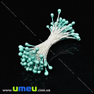 Тичинки на нитці маленькі, ятні (DIF-033355)