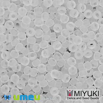 Бісер японський Miyuki круглий RR 11/0 №131F, Прозорий матовий (BIS-045604)