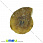 /p31631-ammonit-okameneliy-24x20x5-2-mm/