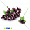 /ru/p29754-tichinki-na-provoloke-bordovie/
