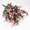 /p54103-buket-melkocveta-37-sm-rozoviy/