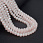 /ru/p57105-busini-rondeli-6x5-mm-bezhevie/