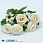 /p44800-buket-roz-s-romashkami-30-sm-kremoviy/