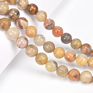 Намистини Агат мереживний (Crazy Agate), Натур. камінь, 10 мм, Круглі, 38 см (BUS-060731)