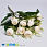 /p48326-buket-kamelii-35-sm-kremoviy/
