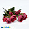 /p44711-buket-pionov-35-sm-krasniy/