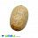 /p33012-podveska-iz-naturalnogo-kamnya-korall-okameneliy-ovalnaya-35x24-mm/