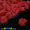 /p36113-pompon-norkoviy-2-2-5-sm-krasniy/