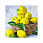 /p51357-nabor-almaznoy-zhivopisi-na-podramnike-korzina-limonov-30x30-sm/