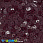 /p41025-payetki-indiya-kruglie-ploskie-4-mm-bordovie/